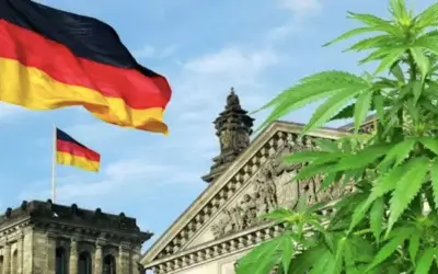 Legalisierung von Cannabis in Deutschland, ein Milliardengeschäft