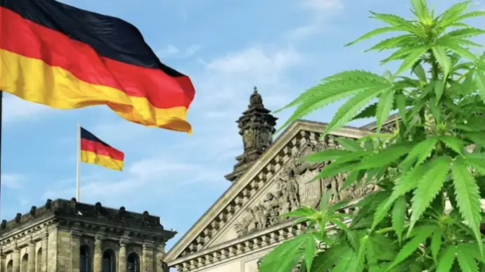 Legalisierung von Cannabis in Deutschland, ein Milliardengeschäft